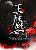 王府宠妾 假面的盛宴晋江