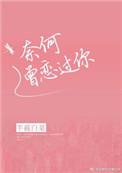 奈何曾恋过你免费阅读