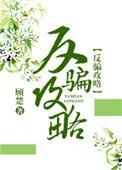 反骗攻略(快穿)TXT