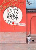 成辉集团