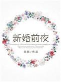 新婚前夜无防盗