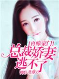 总裁娇妻逃不了 卿以君歌