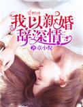 我以新婚辞深情陆敬修