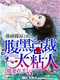 暖婚厚爱腹黑老公宠上天