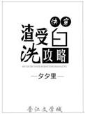 渣攻洗白文推荐