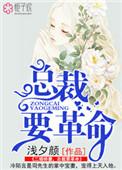 总裁的二婚新妻