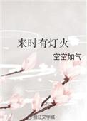 来时有灯火正文