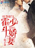霍少追免费阅读