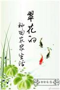 翠花在农村文化中的地位