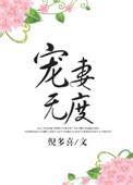 邪王宠妻无度