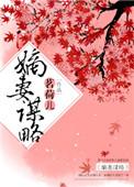 嫡妻谋略格格网