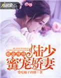 婚途漫漫陆少求放过免费苏韵