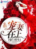 重生豪门宠婚