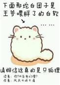 你尾巴戳到我了番外一