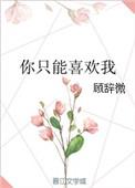你只能喜欢我歌词