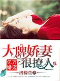 高甜预警亿万娇妻