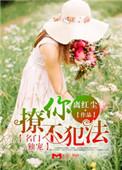 名门宠婚甜到齁免费阅读全文