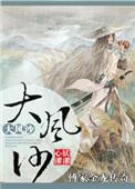 傅家金龙传奇之大风沙完整版