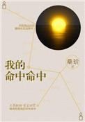 我的命中命中txt书包网