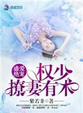 权少盛世欢宠盛夜霆