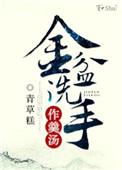 金盆洗手作羹汤免费阅读全集