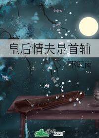 皇后情夫是首辅格格党