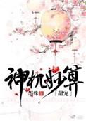 神机妙算甜宠 墨殊txt