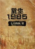 重生1985少年大有可为