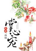 战少掌心宠