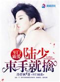 豪门霸爱军少小甜宠