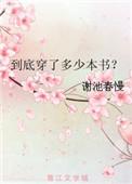 成何体统到底穿了几本书