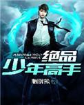 绝品少年高手17章