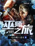 巫师之旅评价