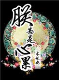 朕甚是心累 作者 木妖娆