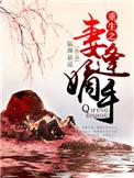 重生之嫡妻下堂