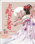 妻闲夫贵结局乱七八糟