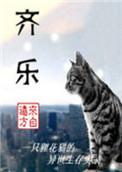 齐乐天与老舅侦探