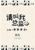 请叫我总监第二部