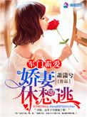 军门霸爱驭妻怀里来