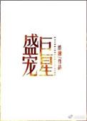 盛宠巨星完整版txt