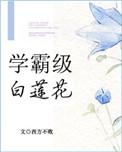 学霸级白莲花txt