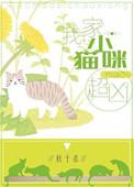 我家小猫咪超凶穿书txt