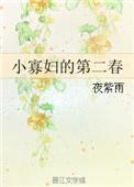小寡妇的第二春夜紫雨讲的什么