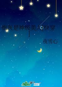 时间暂停后我为所欲为格格党