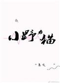 小野猫的歌词