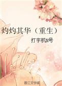 灼灼其华(重生)打字机N号