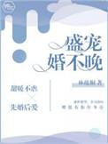 盛婚不晚宠安舒童