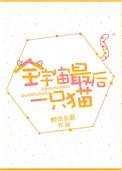 全宇宙最后一只猫免费阅读
