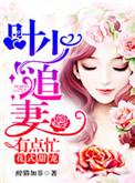 叶少撩妻上瘾全文阅读