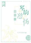 琴韵悠扬的韵是什么意思
